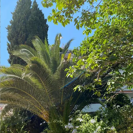 4 P Avec Grande Terrasse, Piscine, Parking Dans Tropez Centre Apartment *